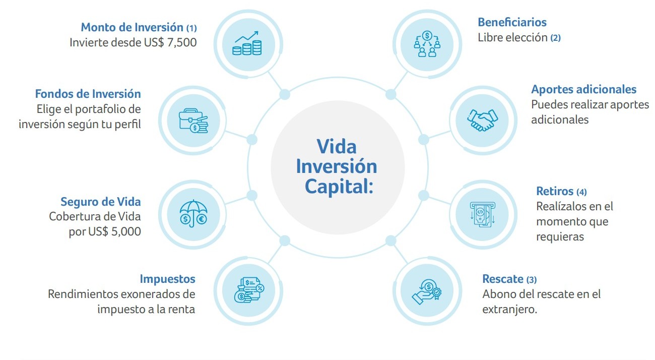 vida-inversion-capital-vic-features.jpg